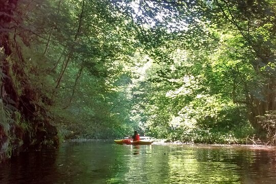 Kayaking or Canoeing in the Peak District  Private Tours and Travel Guide Europe London REGION East Midlands Destination Tour