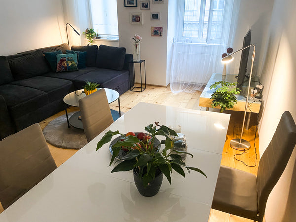 We offer our beautiful Altbau apartment in the 9th district of Vienna. It's cent Vienna, Austria Lovely 2-room apartment in the heart of Vienna Entire rental unit vacation rental 641680611226910678