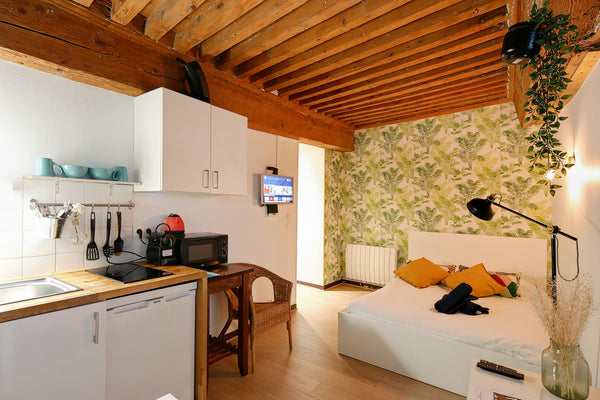 Welcome to my home! I welcome you in my 21 square meters studio in the heart of  Lyon, France Studio Typique Au Coeur De Lyon Entire rental unit vacation rental 663650548296906803
