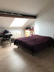 Lumineuse chambre sous-toit de 45 m2 avec 3 Velux dans une maison de maître brux Brussels, Belgium Attic with a view Private room in bed and breakfast vacation rental 698031981553515099