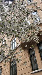 Virkelig fin og hyggelig lejlighed i det skønne svømmehalskvarter på Frederiksbe Frederiksberg, Denmark Frederiksberg - når det er bedst Entire rental unit vacation rental 43521101