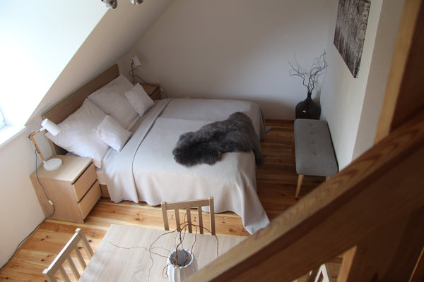 Atypical duplex appartement 1+1+attic. The price includes cleaning. Total space  Prague, Czechia Atelier Bartosch Entire home vacation rental 24095083