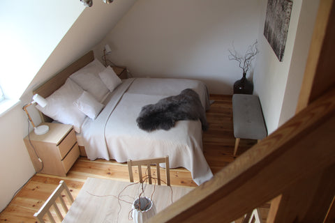 Atypical duplex appartement 1+1+attic. The price includes cleaning. Total space  Prague, Czechia Atelier Bartosch Entire home vacation rental 24095083