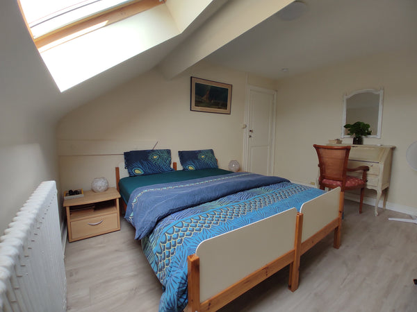 Clean, spacious and comfortable room in our authentic Brussels house, dating bac Brussels, Belgium ensuite double bed room with private bathroom Private room in townhouse vacation rental 32106714
