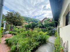 The house is in the Viennese Woods on the edge of the City of Vienna. The centre Vienna, Austria Privat room suburb of Vienna and quiet countryside Private room in home vacation rental 16641735