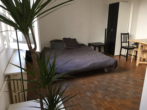 Studio apartment in the 19th arrondissement of Paris, perfect for one or two peo Paris, France Studio quartier Buttes-Chaumont Entire rental unit vacation rental 19464544