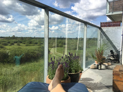 Lys og moderne lejlighed med fantastisk udsigt over Amager Fælled. 5-7 minutters Copenhagen, Denmark Ørestad - Natur og byliv i ét og fantastisk udsigt Entire rental unit vacation rental 37310506