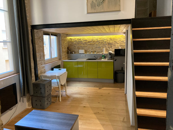 Idéalement placé pour découvrir Lyon,  dans un quartier très calme et sympathiqu Mâcon, France Nouveau - Joli appartement atypique Entire rental unit vacation rental 565804362185257185