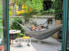 Proximité Bruxelles centre. Rue calme dans quartier vivant et chaleureux. Voisin Brussels, Belgium Maison familiale 4 chambres Entire townhouse vacation rental 5911024