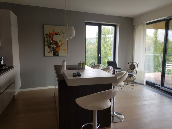 The Praha Karibik 1 floor Flat is a luxurious generous 3 bedroom,  2 bathroom fl Litschau, Austria Praha Karibik Entire condo vacation rental 28456893