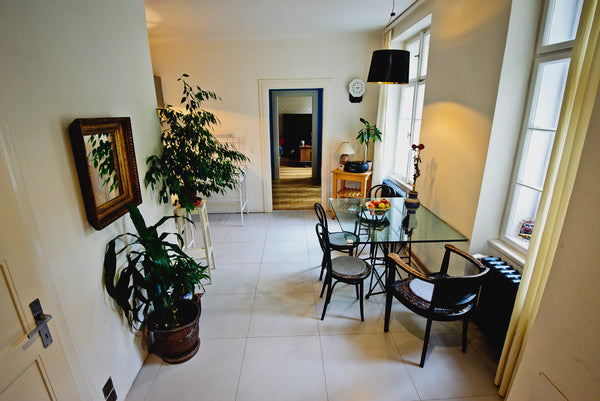 Je to ode mě blízko do Národní divadlo, Karlův most, Staroměstské náměstí, Václa Prague, Czechia Byt v Praze 1, Ostrovní ulice, u Národního divadla Entire rental unit vacation rental 12688801