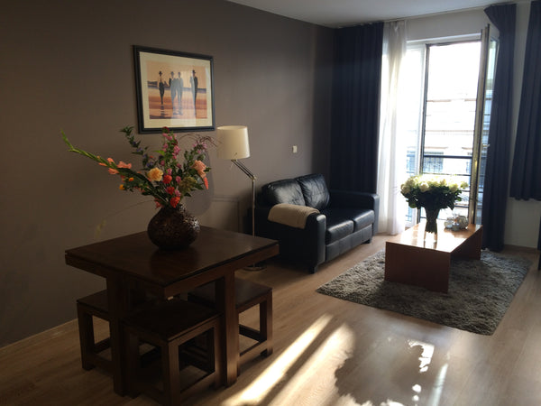 Mon logement est proche de l'avenue Louise/Toison d'Or, le Sablon, Palais de Jus Brussels, Belgium Renovated appartement in the shopping area of Bxl Entire rental unit vacation rental 15497056