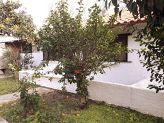 Situé ā 2 km du centre ville de Kos, ā quelques mètres de la plage dans un jardi Greece Ifaistos Entire bungalow vacation rental 30035357