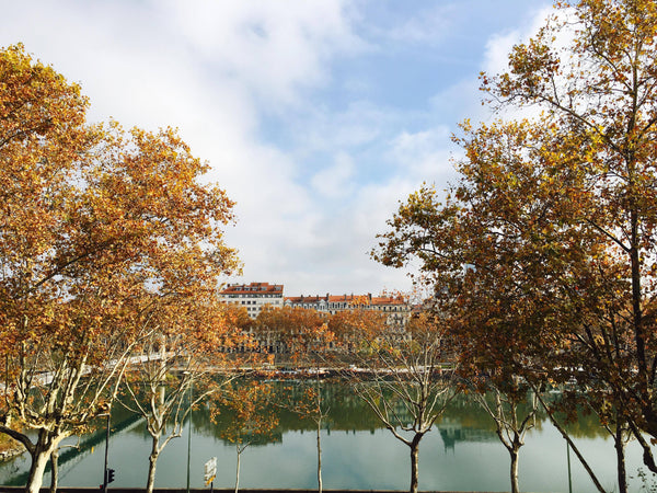 Grande chambre avec un lit simple au coeur de Lyon ! Situé sur la presqu'île à h La Tour-de-Salvagny, France Chambre dans collocation (Avec vue) Private room in rental unit vacation rental 21889687