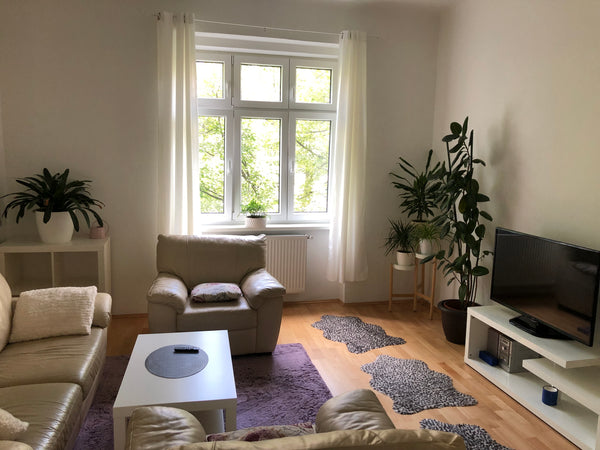 I offer a cosy and modern apartment in Vienna city, nearby shops, cafes, restaur  Modern Apartment in Vienna City Entire rental unit vacation rental 50248596