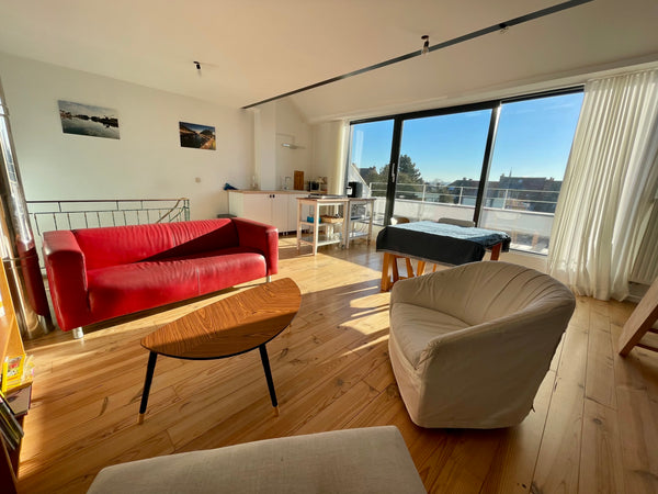 Logement très lumineux en duplex aux 2 derniers étages d'une maison unifamiliale Brussels, Belgium Duplex avec terrasse. Très lumineux et calme Entire rental unit vacation rental 41291530