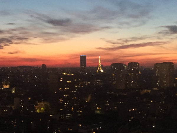 Studio cosy au cœur du 13e arrondissement de Paris, idéal pour deux personnes. < Paris, France Cosy & bright apartment with incredible view Entire rental unit vacation rental 28930373