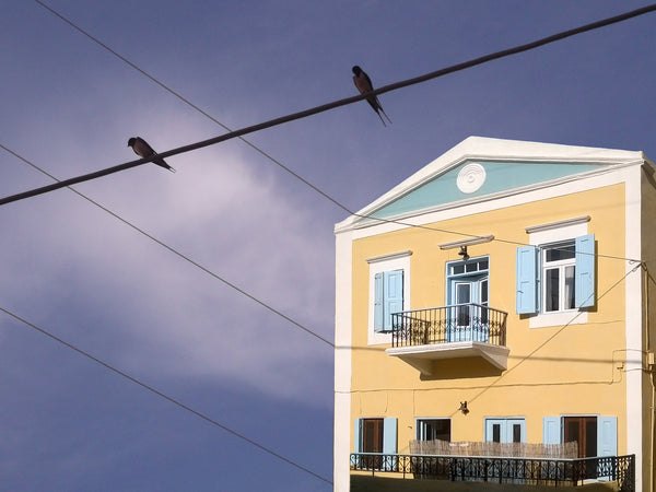 House for rent in the heart of Yialos, the capital of Symi, only five minutes fr  SEA ME HOUSE,  live like a loco Entire home vacation rental 18072888