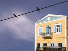 House for rent in the heart of Yialos, the capital of Symi, only five minutes fr  SEA ME HOUSE,  live like a loco Entire home vacation rental 18072888