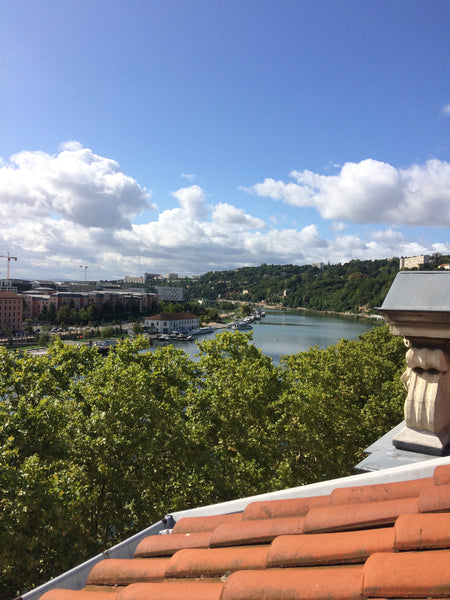 Je peux vous accueillir dans mon appartement duplex au dernier étage (8ème avec  Lyon, France Chambre avec vue sur Saône Private room in rental unit vacation rental 28766403