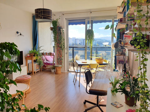 Appartement idéal à la Croix-Rousse pour découvrir Lyon sereinement !<br />- App  Croix-Rousse vue imprenable sur l'Ouest Lyonnais Entire rental unit vacation rental 759955813502654998
