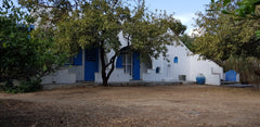 Mandola.Όνομα που βγήκε από τις 2 αιωνόβιες αμυγδαλιές στον τεράστιο κήπο.Παρέα  Greece Mandola's house Cycladic home vacation rental 27683921