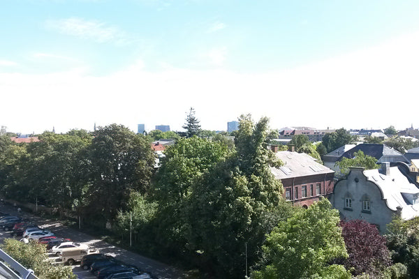 Large family apartment with a balcony towards south with a view and sun all day. Frederiksberg, Denmark Room for 6+ persons, 2plan apartment with a view Entire condo vacation rental 10761153