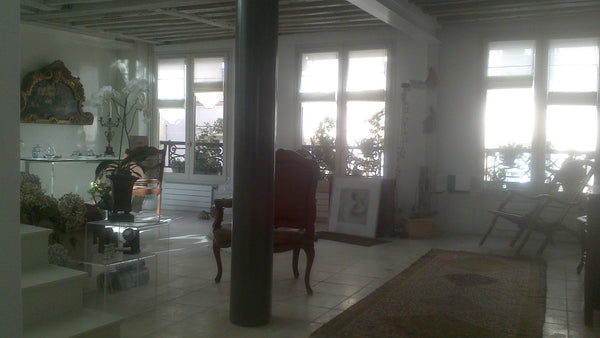 Petite maison au troisième étage d'un immeuble modeste du 17 ème siècle,Un lieu  Paris, France Duplex -terrasse, Montorgueil coeur de Paris Entire rental unit vacation rental 3343448