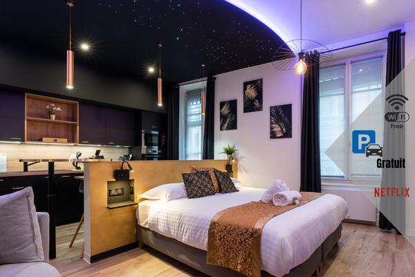 La Suite aux Secrets, unique in the heart of Lyon, will charm you for a stay alo Lyon, France Superb apartment with parking, Rhône's banks Entire rental unit vacation rental 699980931269827454