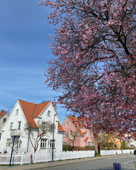 Med 250 m2 fordelt på fire etager, er der plads til masser af leg, hvis du besøg Copenhagen, Denmark Vidunderlig villa få kilometer fra KBH centrum Entire villa vacation rental 618815108719139083