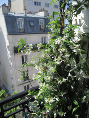 <b>The space</b><br />The apartment is on the sixth floor of a small building in Paris, France Cosy and luminous colorful apartment in Paris  : ) Entire rental unit vacation rental 4684248