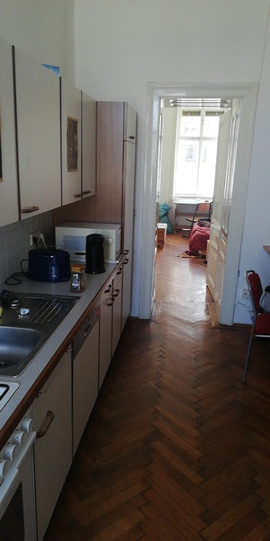 Vienna appartement very well located. Very calm, but in the middle of the fancy  Fürth, Germany Altbau, stylish Entire rental unit vacation rental 34187132