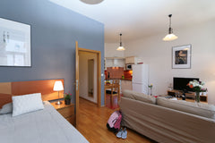 Fully furnished studio, situated on the 3rd floor in a well maintained building  Mníšek pod Brdy, Czechia Sazavska 6, # 8 Entire rental unit vacation rental 30242365