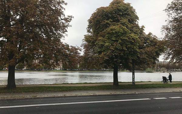 Cozy apartment with private garden in shared townhouse, located in one of Copenh Copenhagen, Denmark Townhouse with lakeview and garden Entire rental unit vacation rental 1787228
