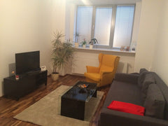 Fancy new flat, fully furnished, in hipster part of city, full of coffee shops,  Central Bohemian Region, Czechia New flat close to city centre Entire rental unit vacation rental 11767829
