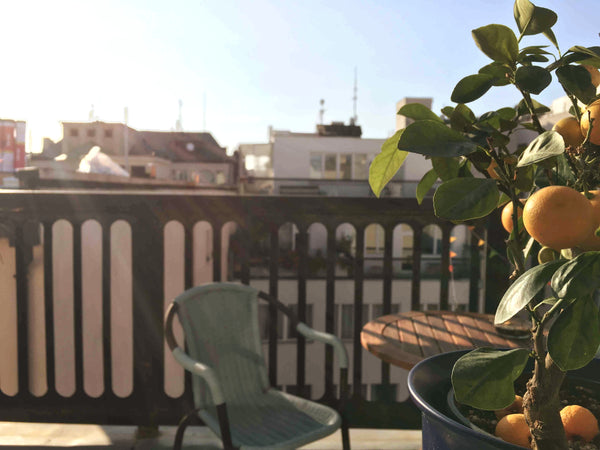 Hello :) I am Alex. And you will be warmly welcomed at my apartment! <br />You h Prague, Czechia ☀ Juicy Rooftop Apart with Balcony ☀ Entire rental unit vacation rental 38456560