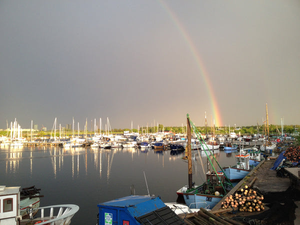 The house is peacefully situated in a harbour of Copenhagen, a 