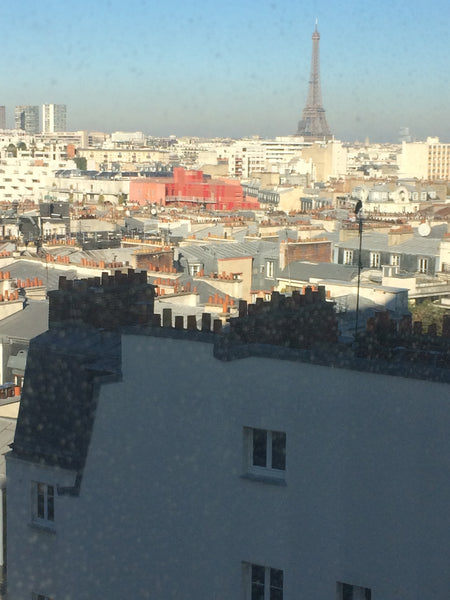 Résidence calme , proche des salons comexpo, très proche des bus , du métro et d  Vue Tour Eiffel Private room in condo vacation rental 21889495