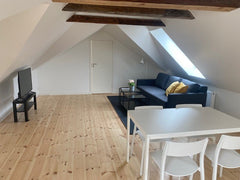 A 2 bedroom-apartment in the middle of Frederiksberg. <br />Whole new renovated  Frederiksberg, Denmark HCØ, 3._Lovely roof apartment in Frederiksberg Entire serviced apartment vacation rental 567921517899225720