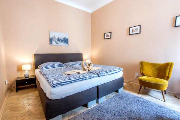 Welcome to my convenient and comfy apartment! In historical building in backstre Prague, Czechia Fine Flat - Fair Fare For Fabulous Friends Entire rental unit vacation rental 25369286