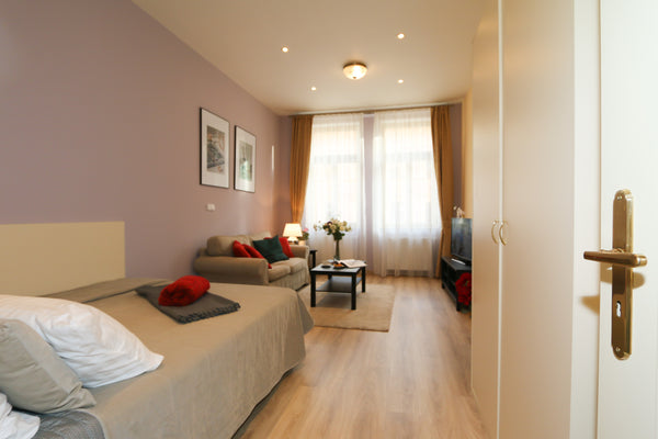 One bedroom apartment in newly reconstructed building in Prague 2, Vinohrady. <b Mníšek pod Brdy, Czechia Machova 19, # 13 Entire rental unit vacation rental 30304388