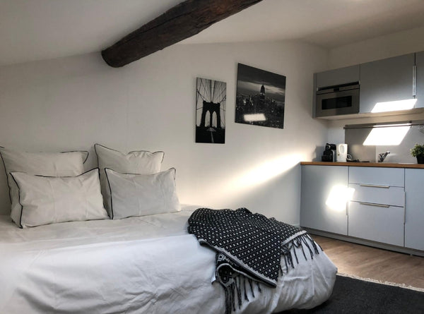 Charmant studio sous les étoiles. Avenue très centrale avec commerces de qualité Lyon, France Beau studio Lyon 6ème quartier chic Entire rental unit vacation rental 13294003