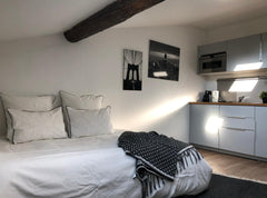 Charmant studio sous les étoiles. Avenue très centrale avec commerces de qualité Lyon, France Beau studio Lyon 6ème quartier chic Entire rental unit vacation rental 13294003