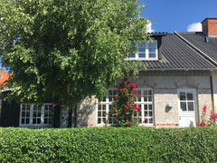 This townhouse dates back to the 1900 and is filled with charming details while  Copenhagen, Denmark Charming townhouse near nature & copenhagen centre Entire townhouse vacation rental 34667238