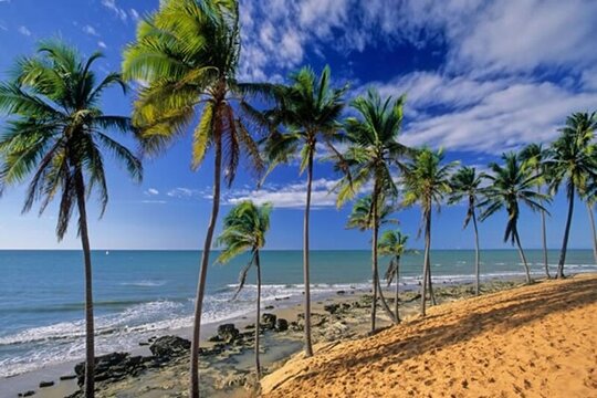 Lagoinha Beach Tour  Private Tours and Travel Guide America Fortaleza CITY Fortaleza Destination Tour