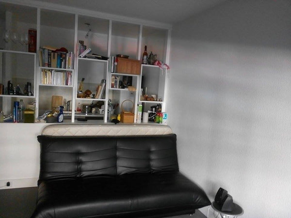 Studio de 35 m² situé au 15ème entre plaisance et convention, 2eme etage avec As Paris, France A 20 minutes de la Tour d'Eiffel Entire rental unit vacation rental 7101291