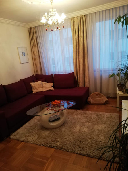 <b>The space</b><br />Die Wohnung hat super Lage, direkte Verbindung zum Flughaf Vienna, Austria Große Wohnung in Wien Zentrum.Tolle Lage Belvedere Entire rental unit vacation rental 40810440