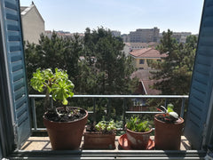 Quartier calme et agréable, à 15 mn de Bellecour et à 15 mn de Gare Part Dieu et Sainte-Foy-lès-Lyon, France Appartement calme avec vue dégagée Entire rental unit vacation rental 21847600