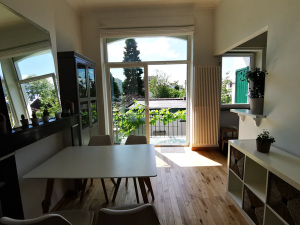 Enjoy the charm of this newly renovated apartment located in a neighbourhood clo Etterbeek, Belgium *Cosy, luminous apartment (EU quarter)* Entire rental unit vacation rental 34141913