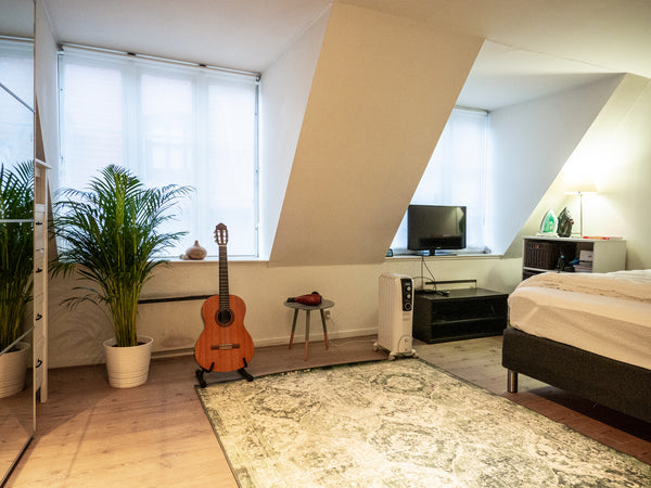 Welcome to my cozy and charming studio right in the city centre of Copenhagen! < Copenhagen, Denmark Studio in the heart of Copenhagen Entire rental unit vacation rental 46768406
